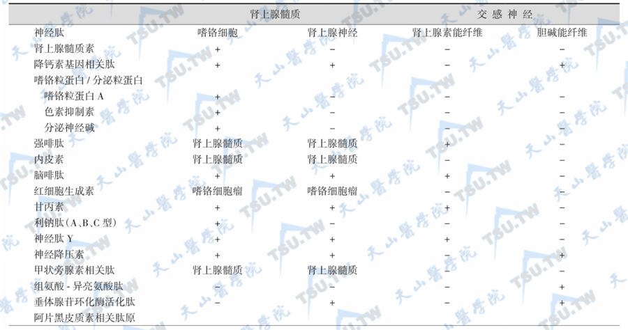 肾上腺髓质交感神经肽的分布和作用：