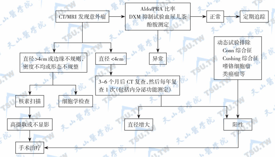  肾上腺意外瘤的处理