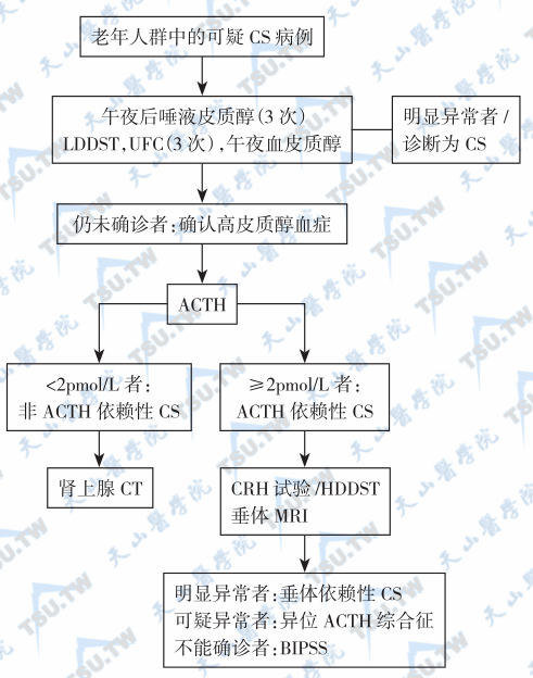  老年皮质醇增多症的诊断实验与特殊实验流程