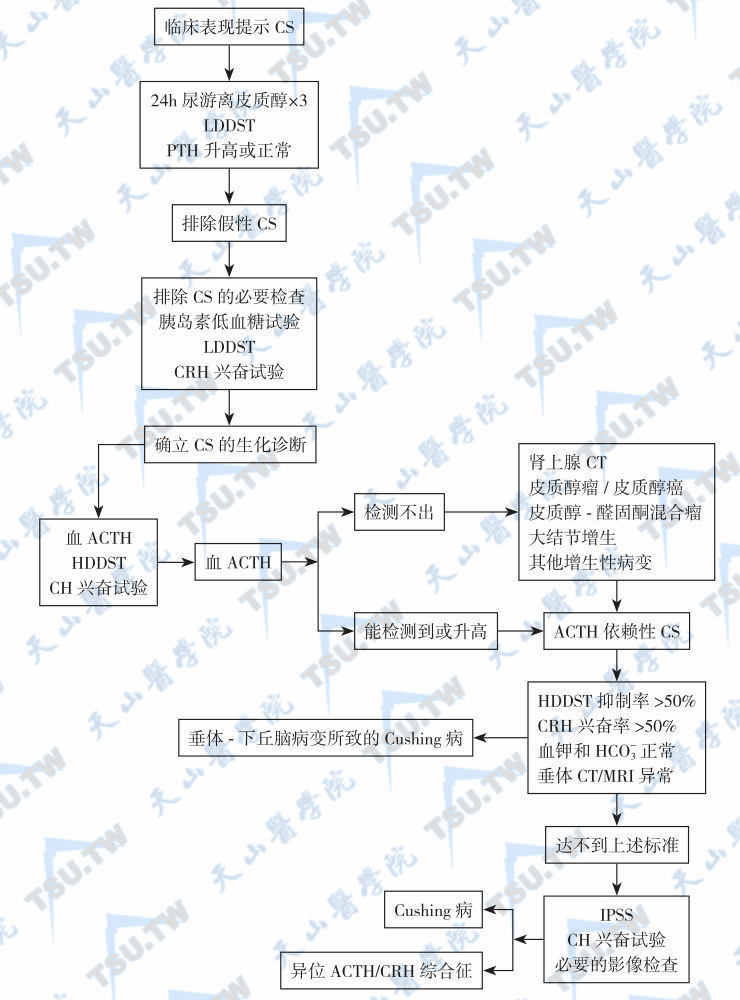  一般CS（库欣综合征）的病因诊断和鉴别诊断流程