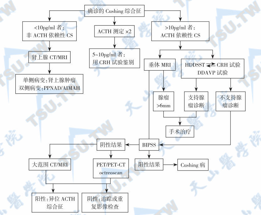  确诊的皮质醇增多症综合征病因诊断
