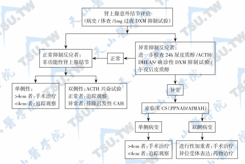  亚临床皮质醇增多症伴肾上腺结节的诊断程序