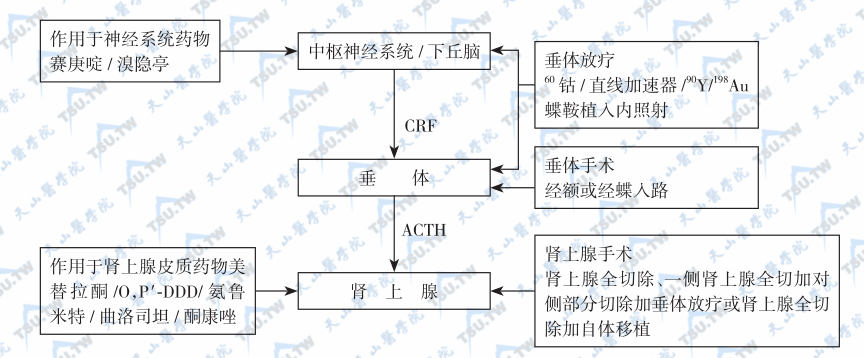 ACTH瘤治疗（促肾上腺皮质激素瘤）方案