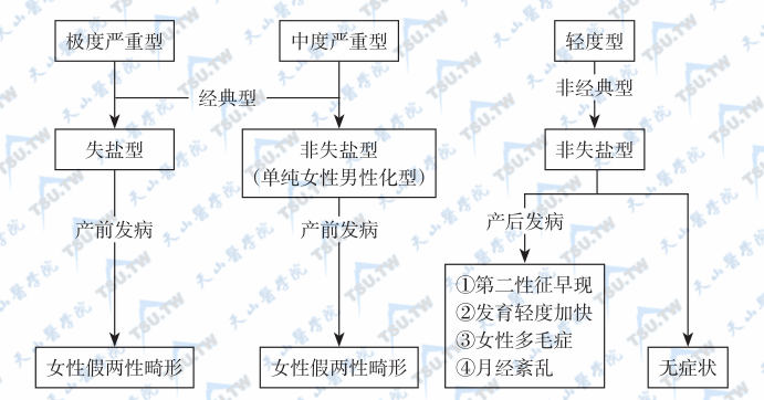 先天性肾上腺皮质增生：21-羟化酶缺陷症详解