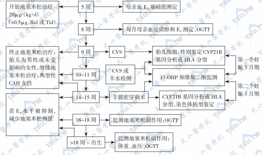  21-羟化酶缺陷症的产前诊断和治疗方案