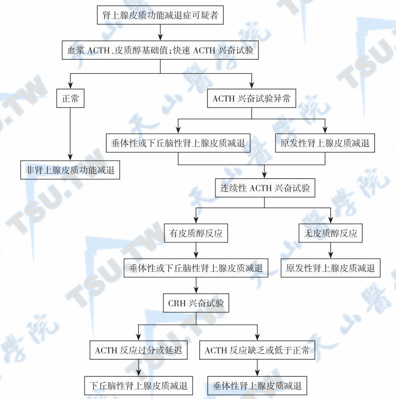 肾上腺皮质功能减退症的检查与诊断依据