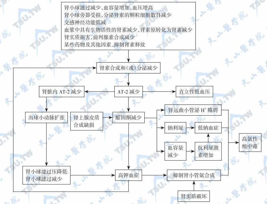  低肾素性低醛固酮症的发病机制