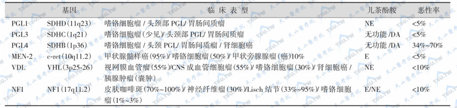 副神经节瘤的遗传学分型