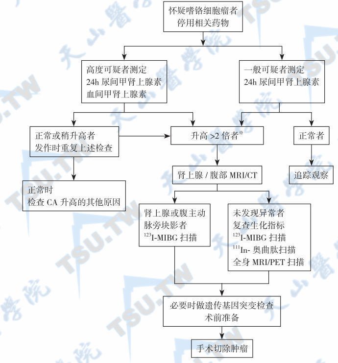 嗜铬细胞瘤的诊断依据