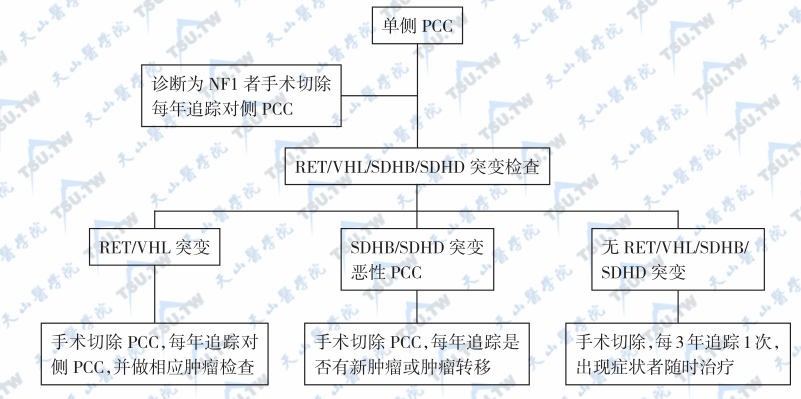  单侧散发性嗜铬细胞瘤的遗传病因诊断和追踪