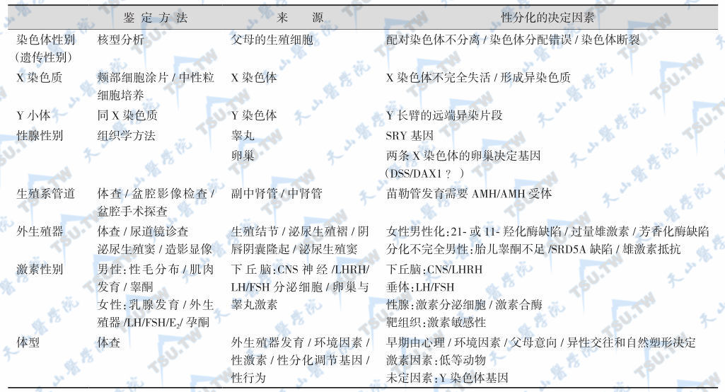 性分化决定因素与鉴定方法