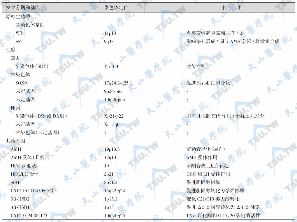 调节性腺发育的可能基因