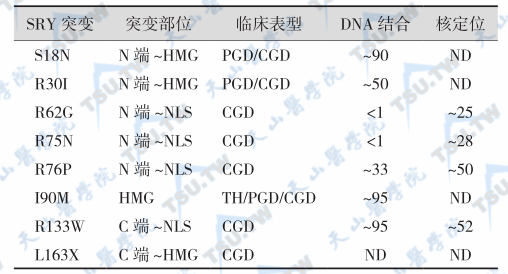 SRY突变所致的DSD