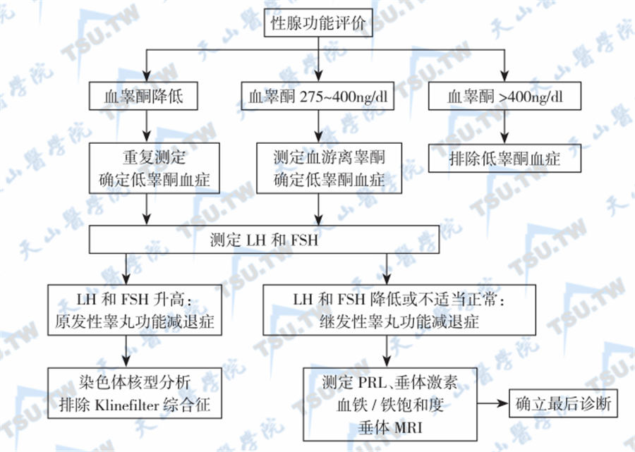 男性性腺功能减退症的症状表现与诊断依据