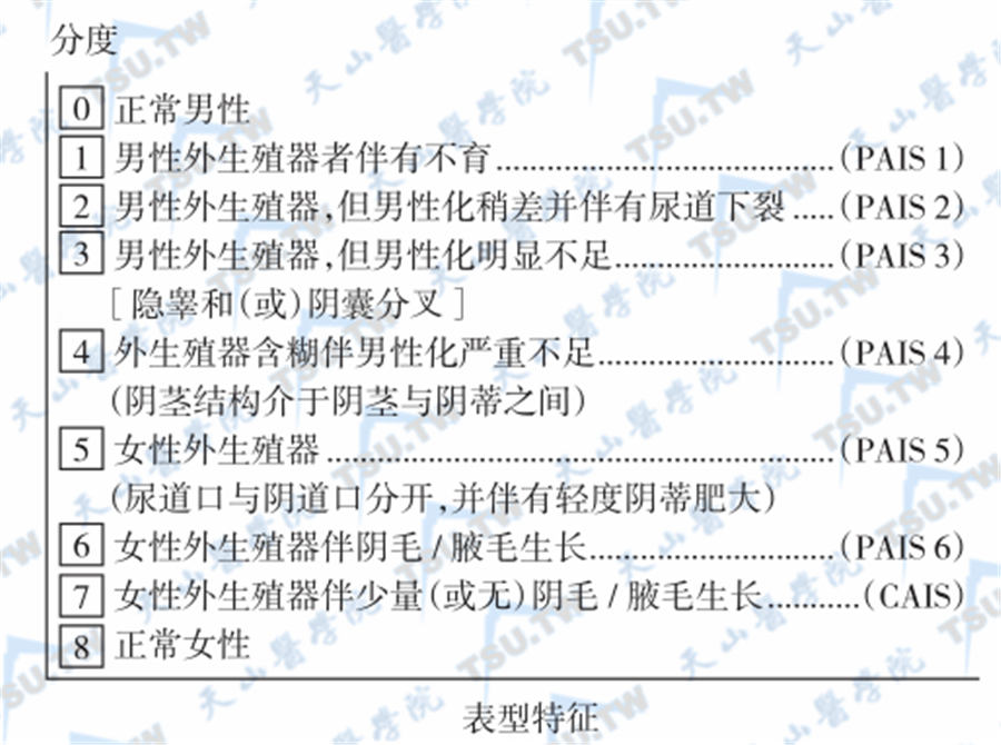 雄激素敏感程度分级