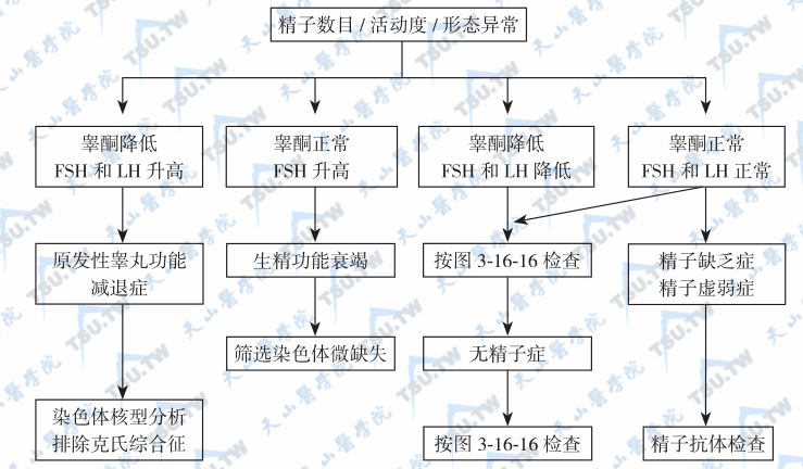 图1：精液异常的病因诊断；注：精液检查应在禁欲至少48小时后采集精液标本