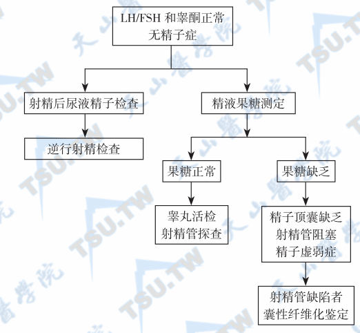 图2：睾酮、LH与FSH正常的无精子症病因诊断