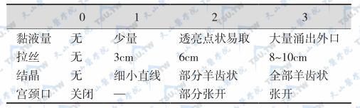 Insler宫颈黏液评分