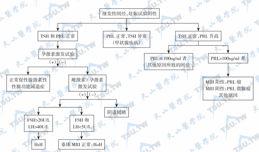  继发性闭经的鉴别诊断思路