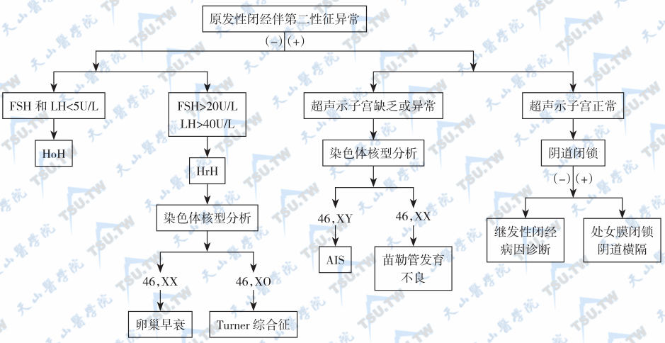  原发性闭经的鉴别诊断思路