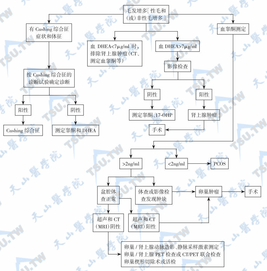 女性多毛和毛发增多症的诊断和鉴别程序