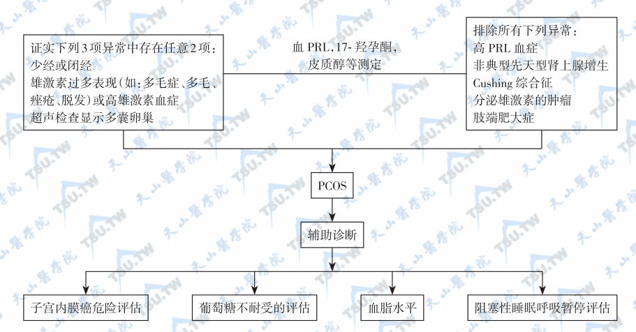  多囊卵巢综合征的诊断流程图