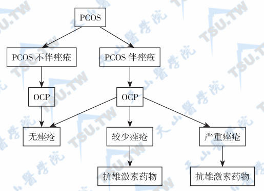 多囊卵巢综合征的非手术治疗