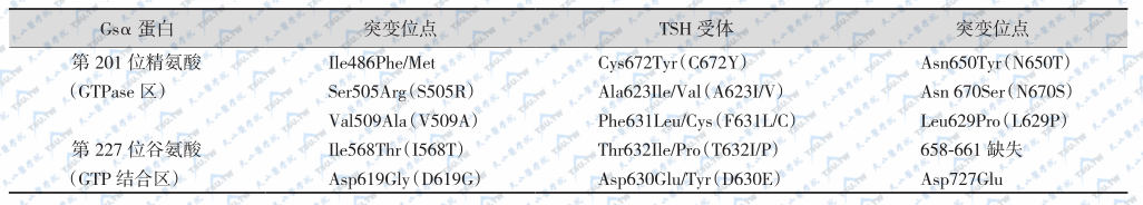 Gsα和TSH受体突变