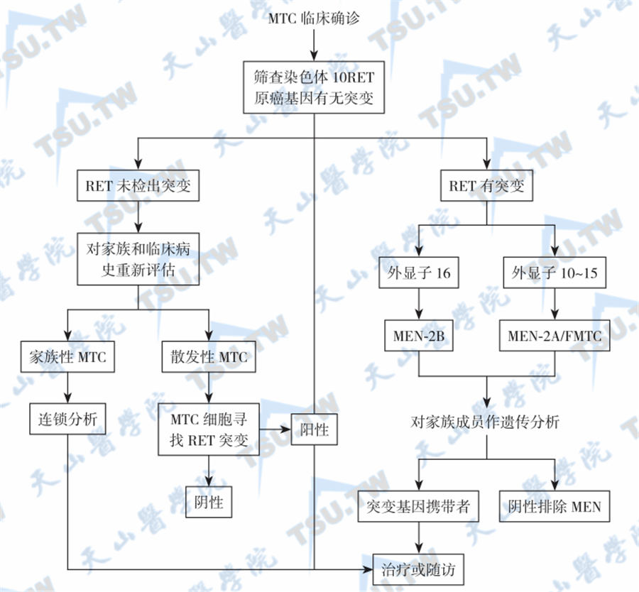  MTC分子遗传学的筛查步骤