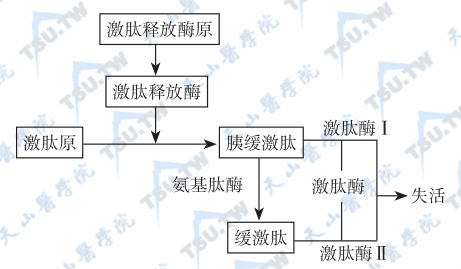  激肽释放酶-激肽系统