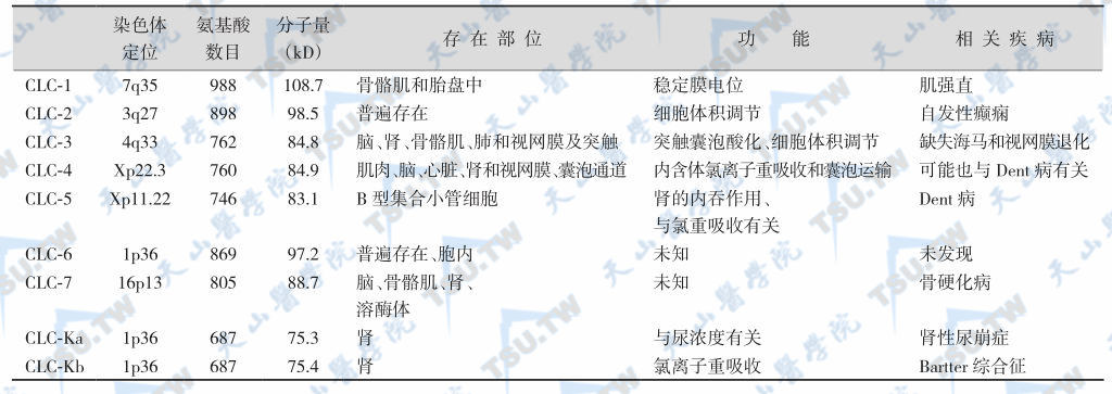 9种CLC型氯通道的基本特征