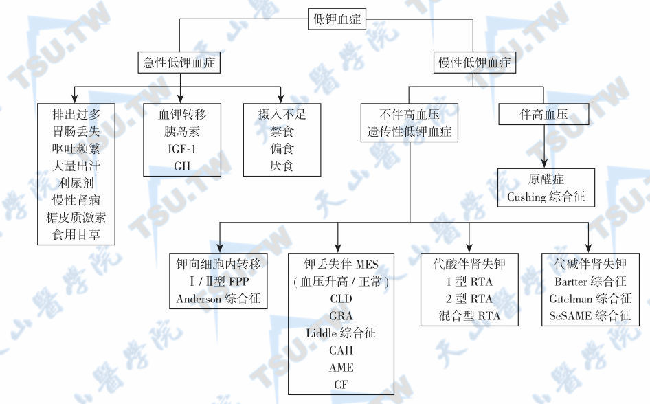  遗传性低钾血症的病因与鉴别