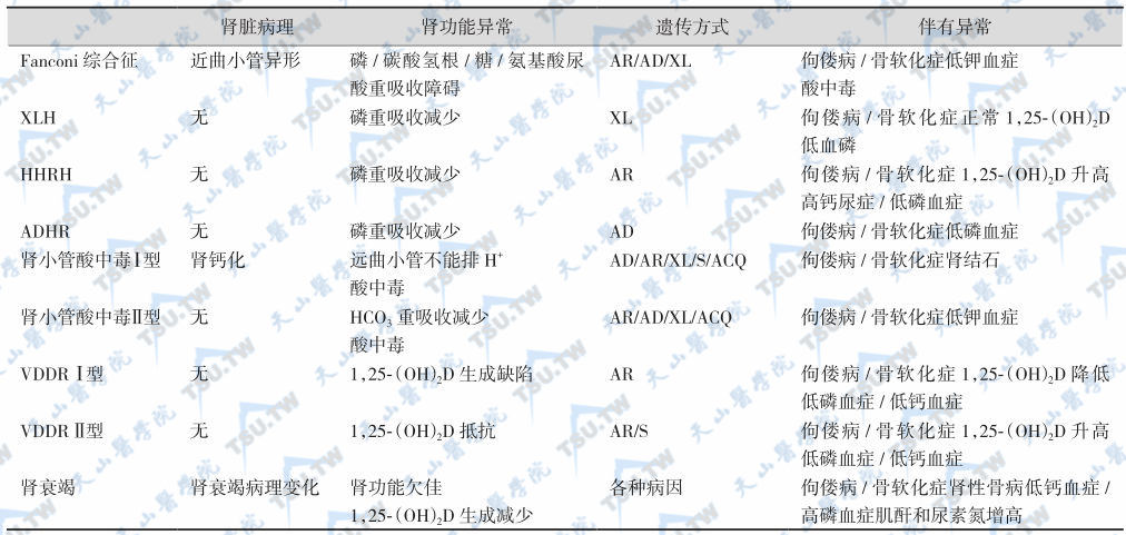 与佝偻病/骨软化症有关的各种肾脏情况