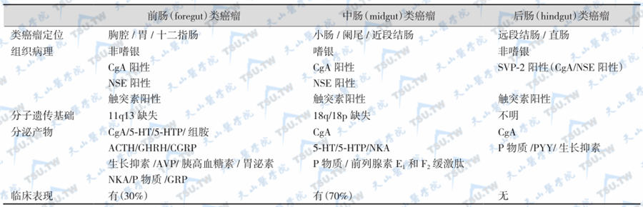 类癌瘤的胚胎来源分类