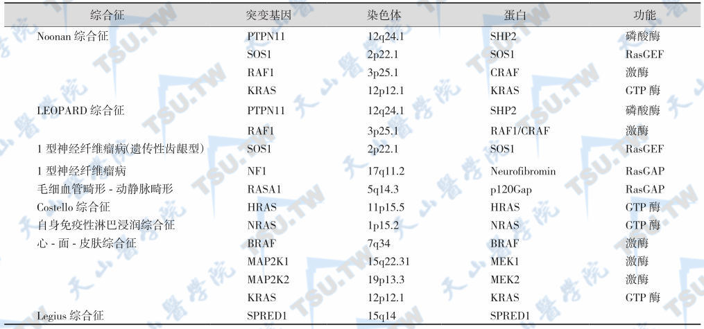 Ras/MAPK途径因子突变所致的遗传综合征