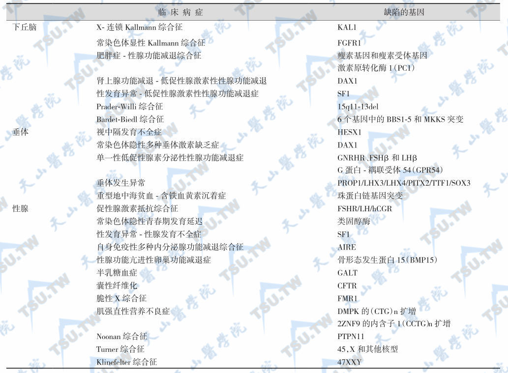 遗传缺陷所致的下丘脑-垂体-性腺功能障碍综合征