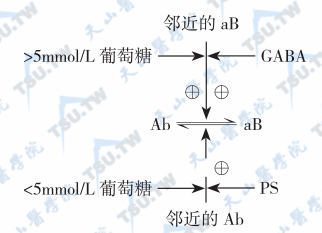  胰岛素分泌的整合调节