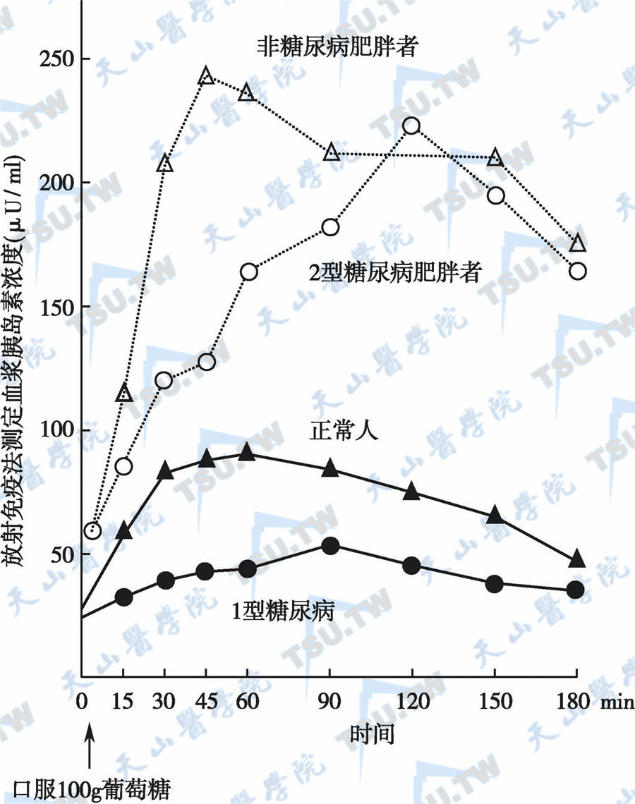 血浆胰岛素和C肽测定及其意义