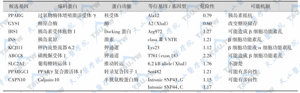 与2型糖尿病相关的候选基因和多肽