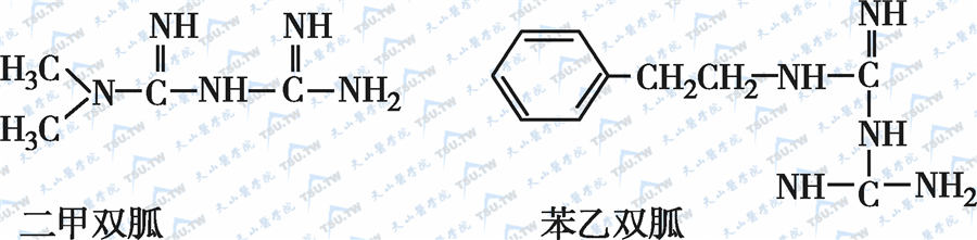  常用双胍类药物的分子结构