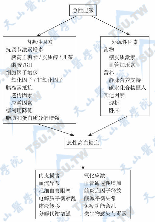  应激性高血糖症的发病机制