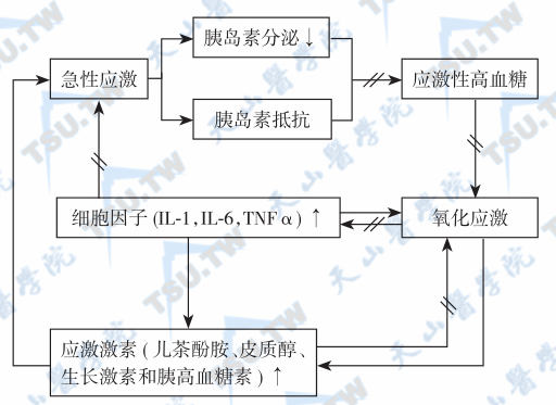  胰岛素治疗应激性高血糖症的作用部位与获益