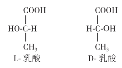 糖尿病乳酸性酸中毒的病因与分类