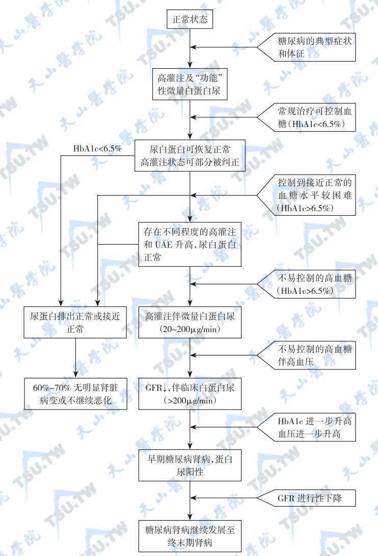  糖尿病肾病病期与血糖控制的关系