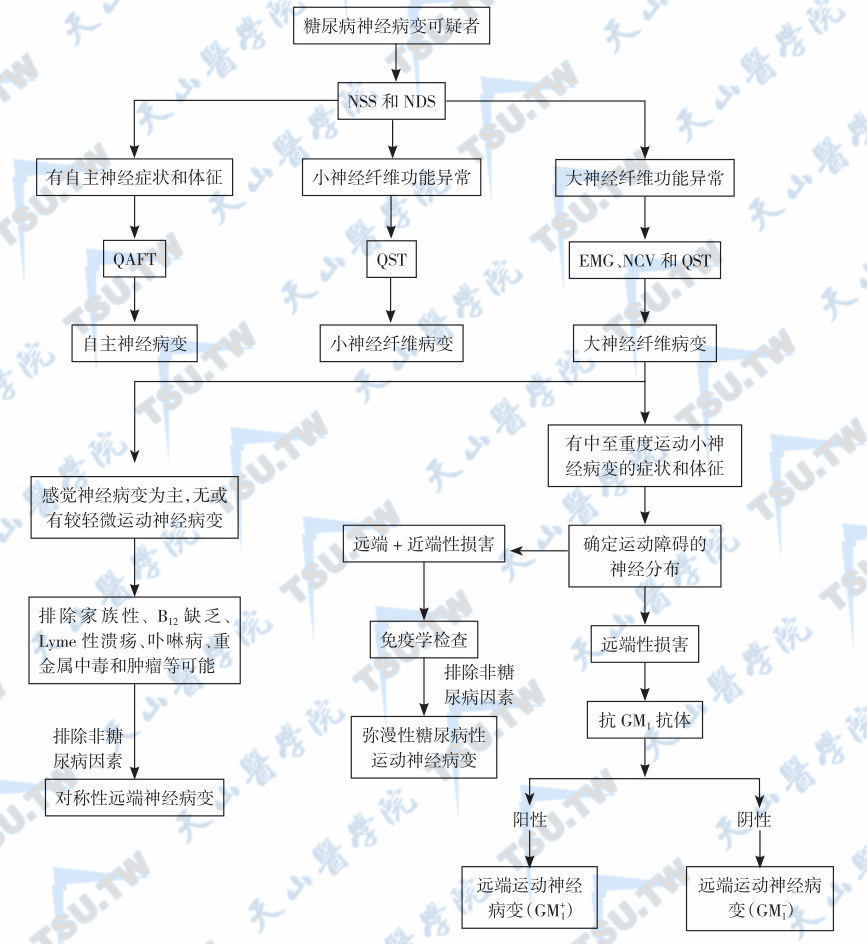  糖尿病神经病变的诊断程序