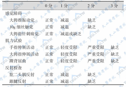 密歇根糖尿病审计病变计分法