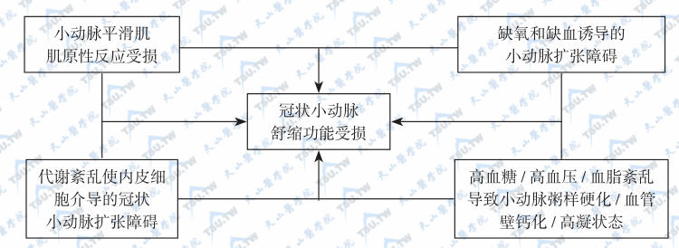  冠状小动脉病变的发病机制