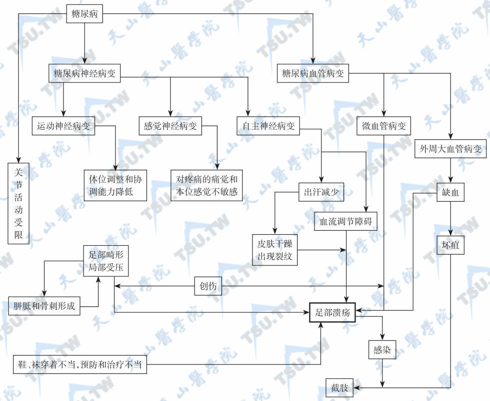  糖尿病足病发病机制与转归