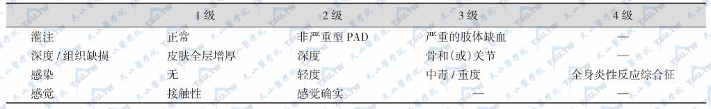 IWGDF关于糖尿病足溃疡分类系统（供研究之用）-PEDIS