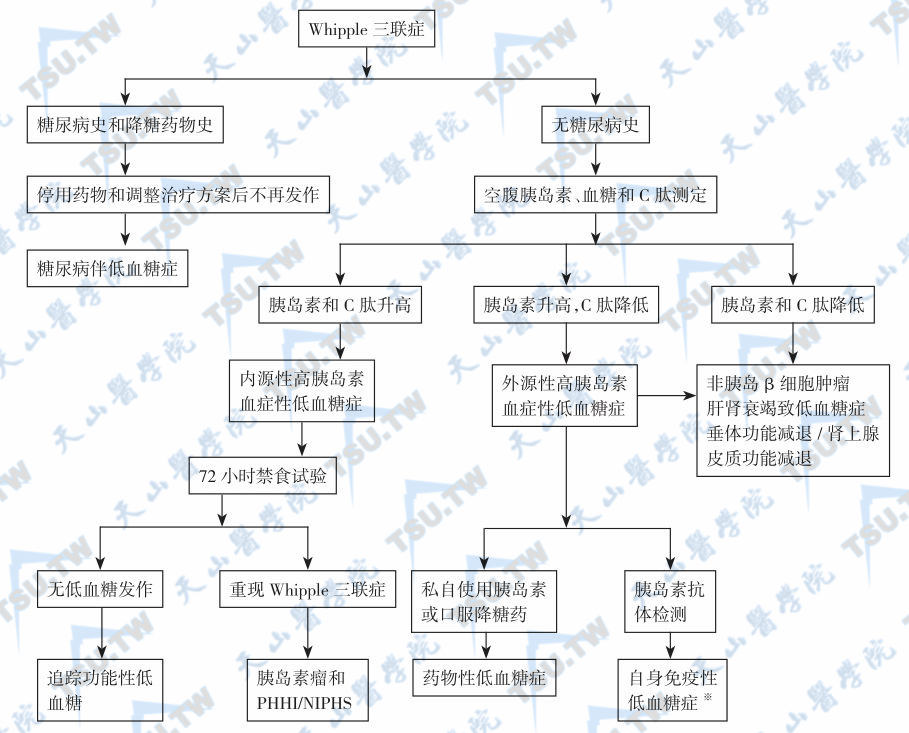  空腹低血糖症的鉴别程序